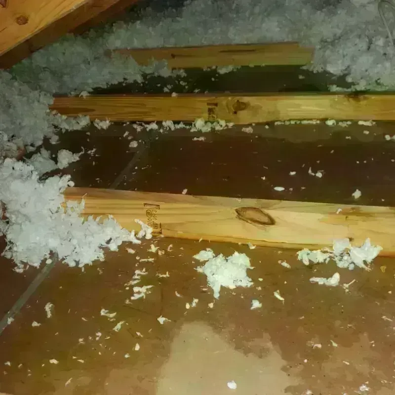 Attic Water Damage in Camas, WA