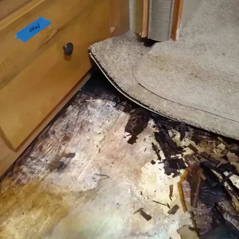 Best Wood Floor Water Damage Service in Camas, WA